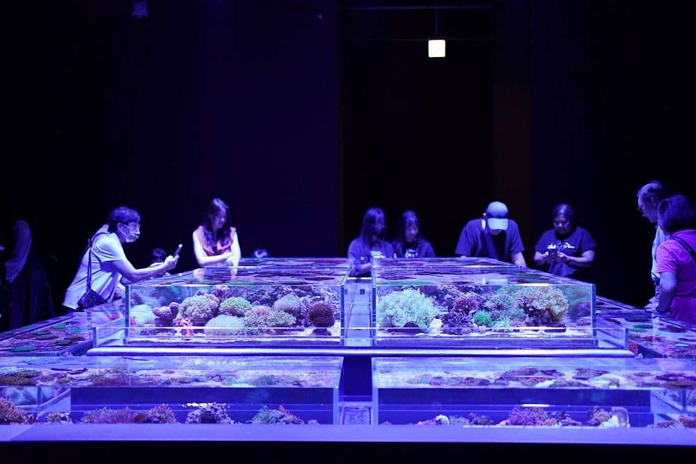 台中海洋館攻略：８大主題展區＆全台第二大水族箱！附周邊吃喝玩樂推薦