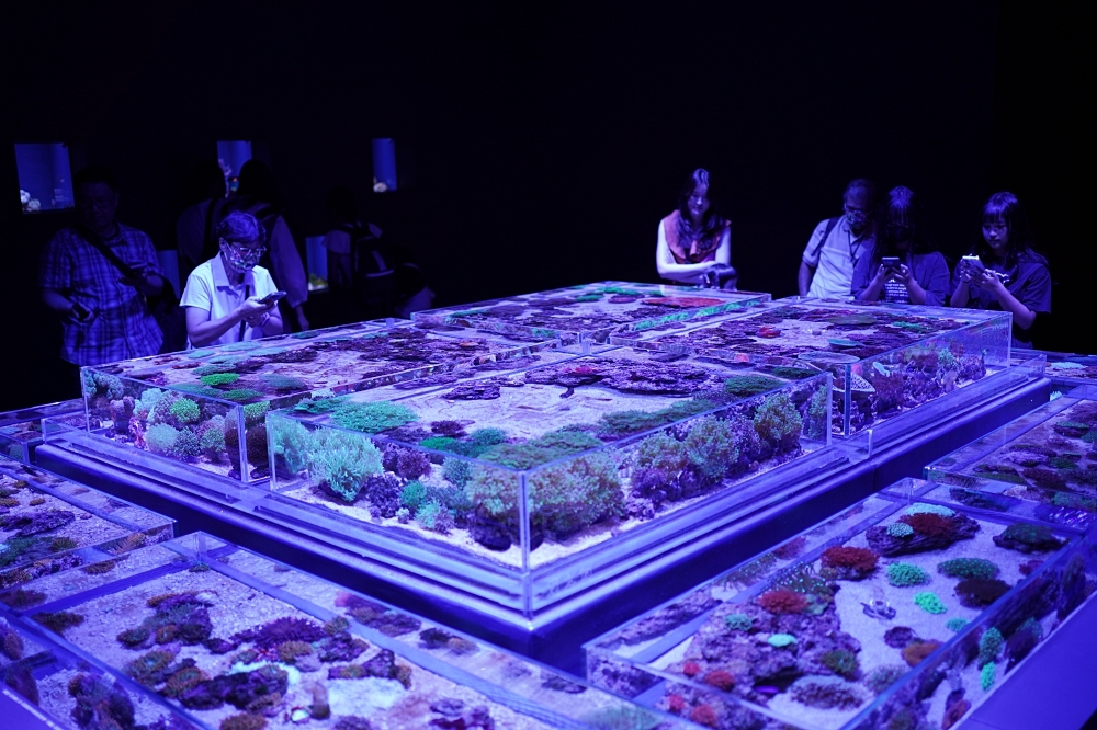 台中海洋館攻略：８大主題展區＆全台第二大水族箱！附周邊吃喝玩樂推薦