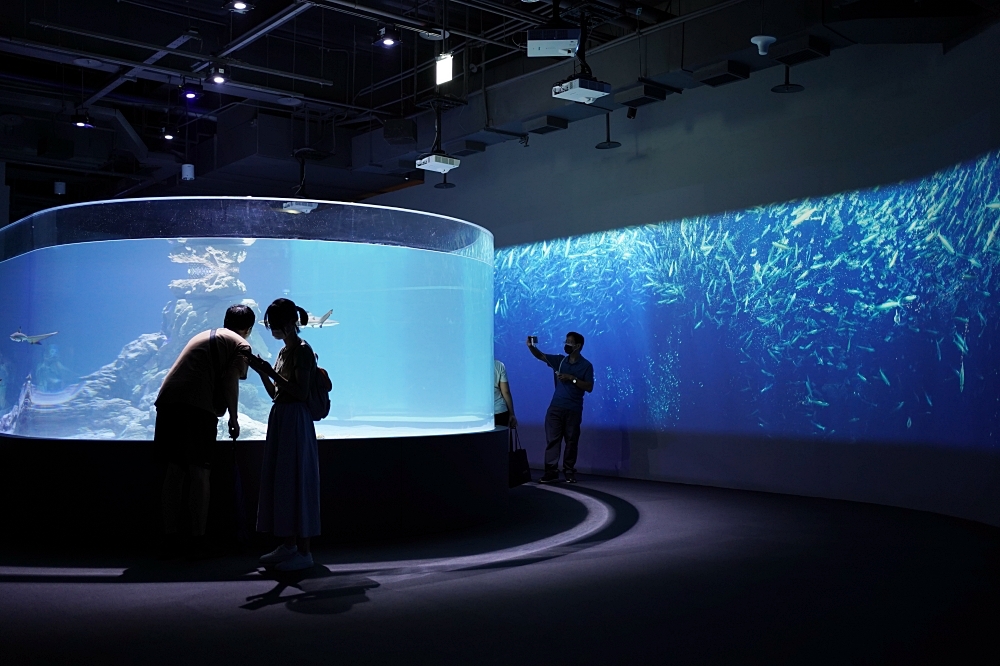 台中海洋館攻略：８大主題展區＆全台第二大水族箱！附周邊吃喝玩樂推薦