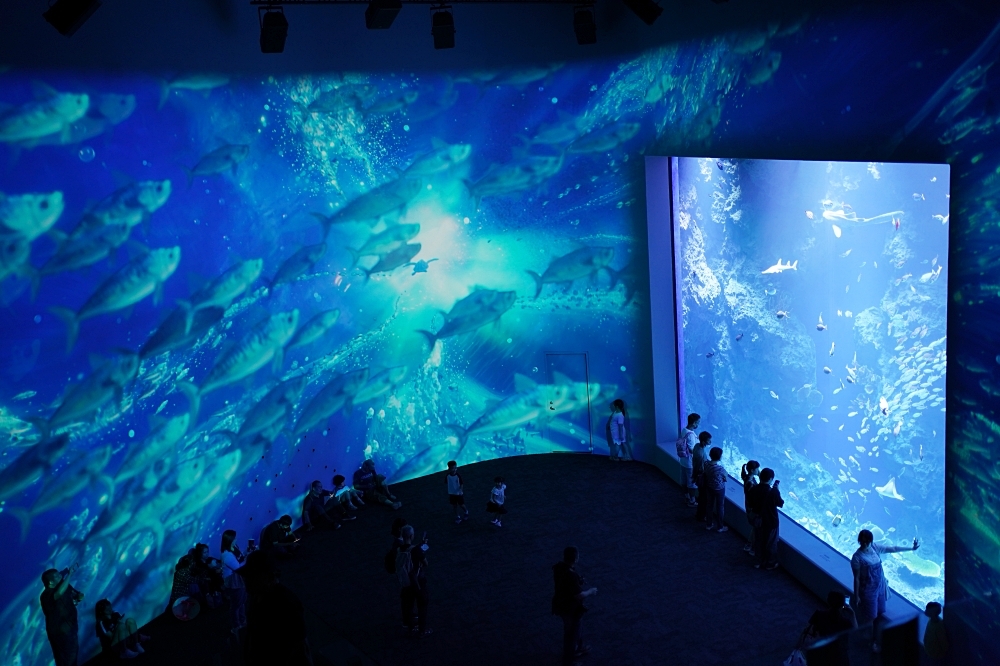 台中海洋館攻略：８大主題展區＆全台第二大水族箱！附周邊吃喝玩樂推薦