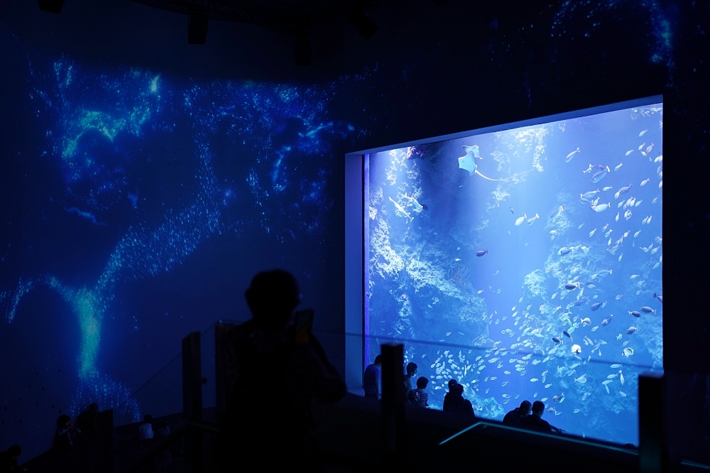 台中海洋館攻略：８大主題展區＆全台第二大水族箱！附周邊吃喝玩樂推薦