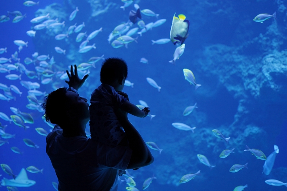 台中海洋館攻略：８大主題展區＆全台第二大水族箱！附周邊吃喝玩樂推薦