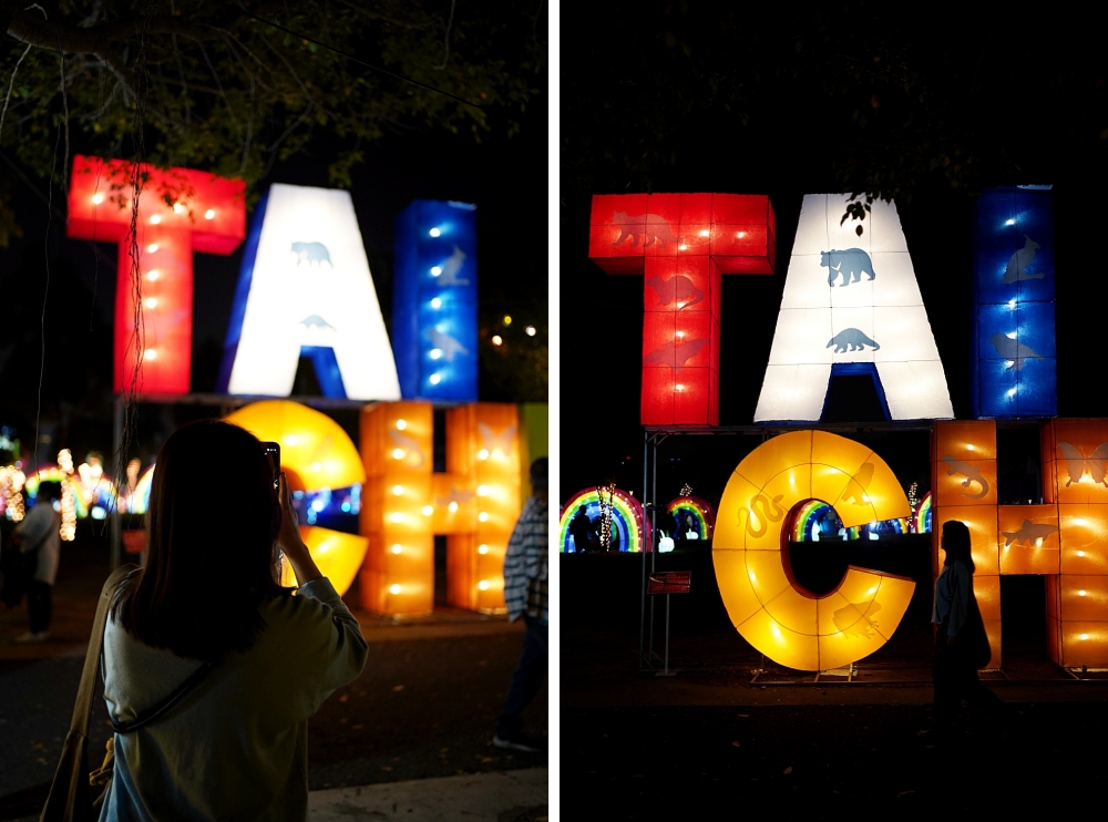 2026中臺灣燈會：今年台中燈會最可愛最萌的「動物夢世界」絕對不能錯過！