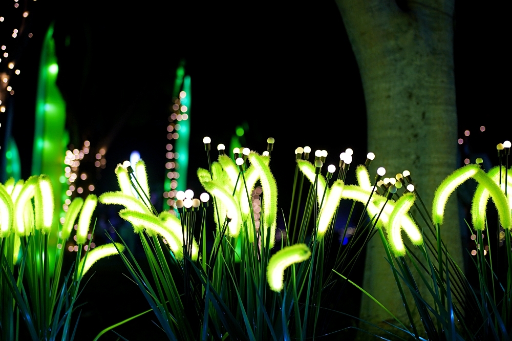 2026中臺灣燈會：今年台中燈會最可愛最萌的「動物夢世界」絕對不能錯過！