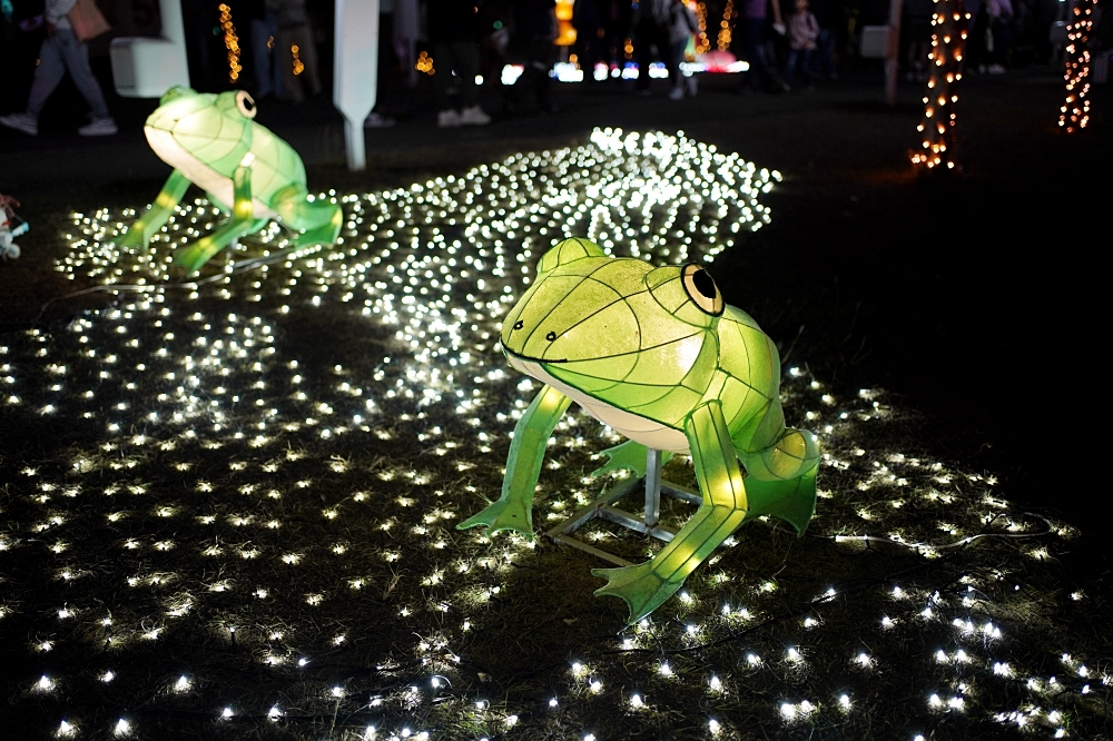 2026中臺灣燈會：今年台中燈會最可愛最萌的「動物夢世界」絕對不能錯過！