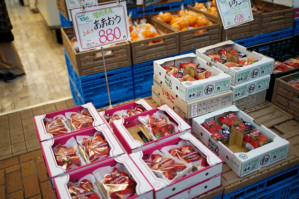 神戶景點推薦：京都神戶自由行必備，10個必去景點一次筆記！台中直飛超方便～
