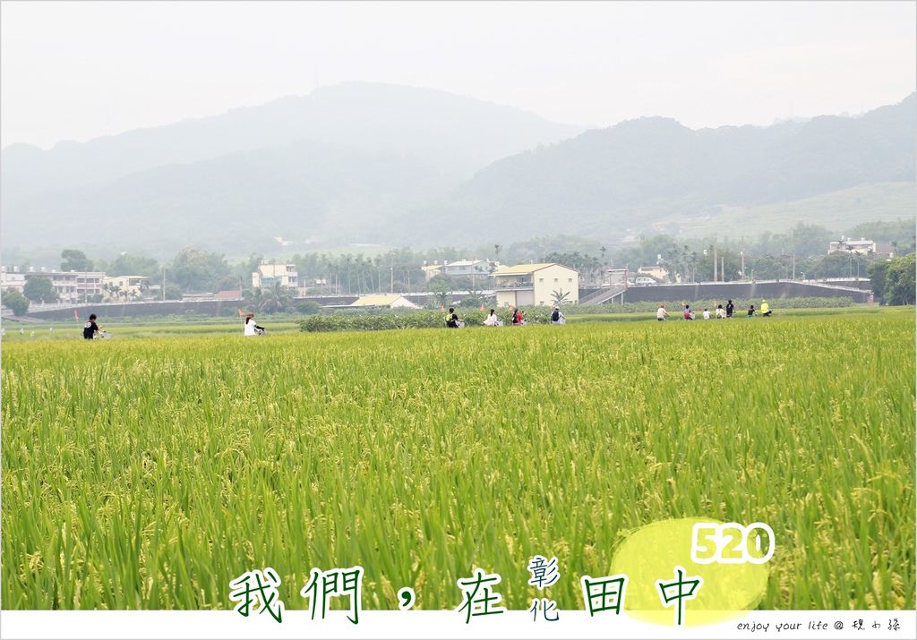[彰化田中] 台灣米倉：熱情的人文小鎮！到小鎮騎乘在鄉村田野中，親手DIY一份傳統手藝的溫暖。一起５２０！