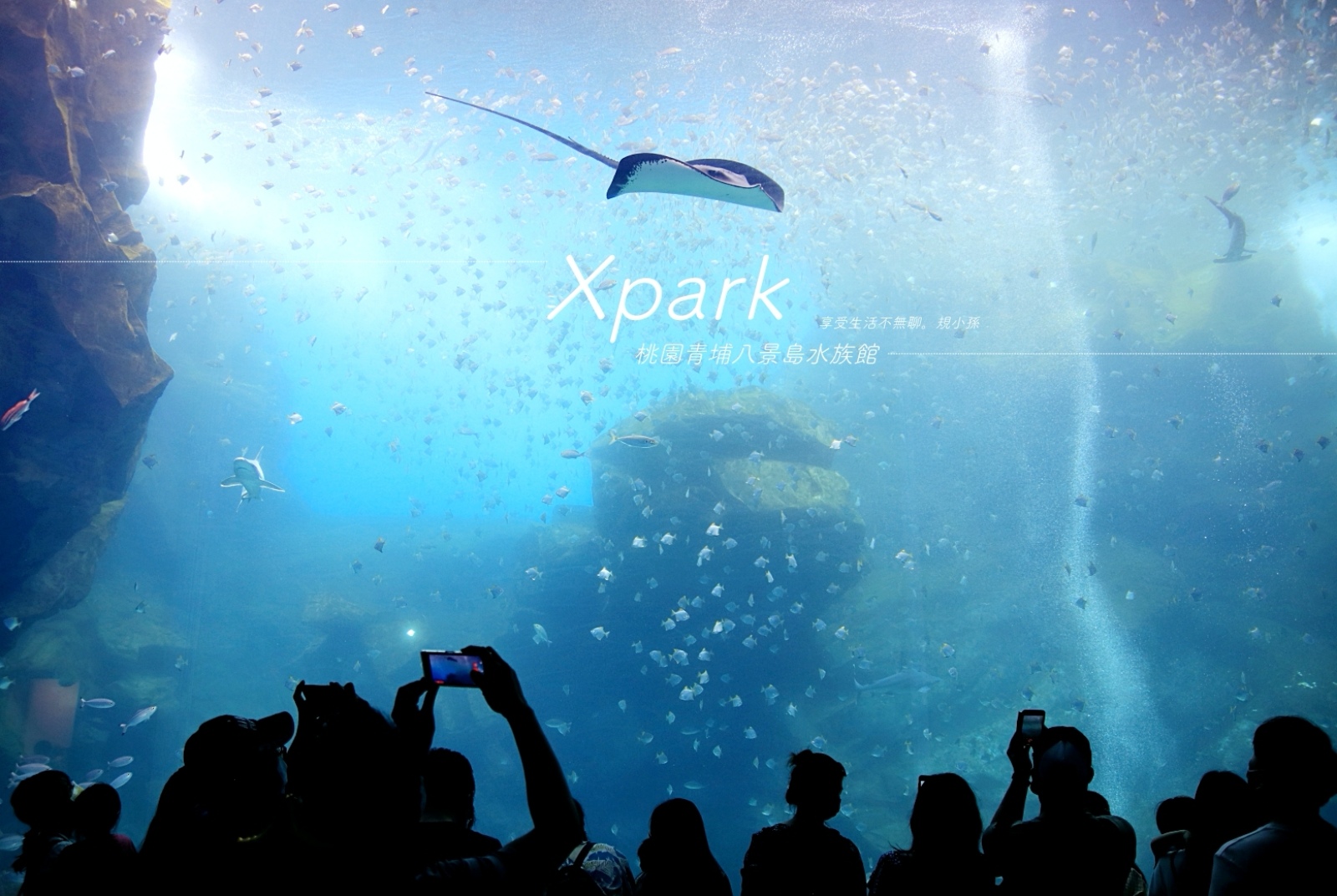 桃園 Xpark 水族館：搭高鐵怎麼走最近？線上購票先買最方便！６大 IG 必拍熱門打卡點一次收，附現場實錄影片。