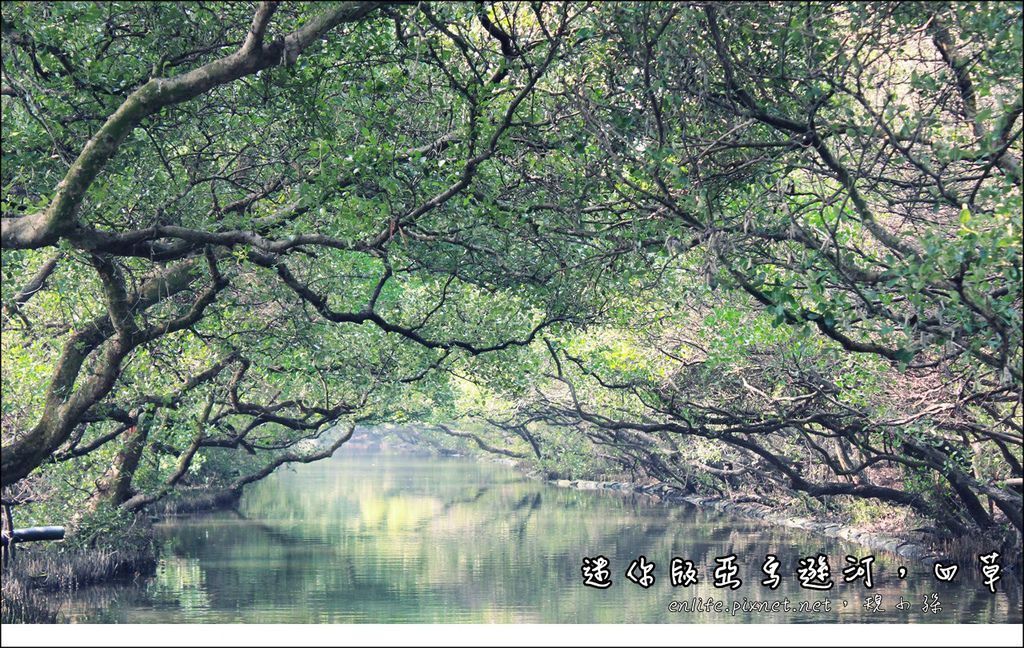 [台南輕旅行] 台灣的迷你版亞馬遜河就在台南，四草綠色隧道生態豐富、大小朋友都愛！