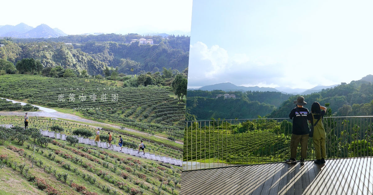 南投鹿篙咖啡莊園：不只是一間咖啡館！放眼望去的高山與咖啡園是最令人陶醉的美景啊～日月老茶廠之「台灣農林」新品牌！