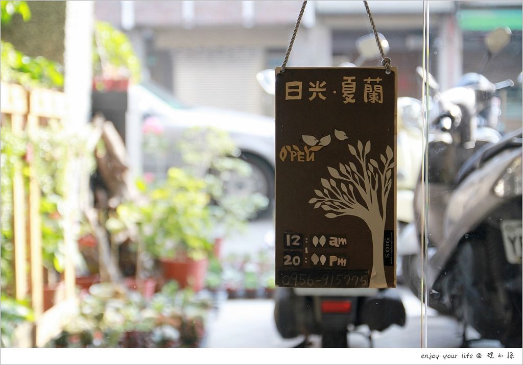 [台南盆栽花店] 『日光夏蘭』讓植物盆栽很有生命力！專屬訂製、專業照料，送一份永遠不凋零的祝福給重要的人～